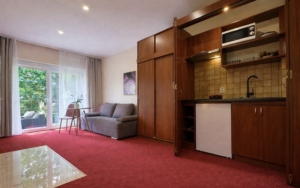 Superior kominkowy z aneksem kuchennym, wyjściem na taras Morska Fala Pobierowo