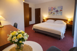 Pokój dwuosobowy z łazienka tarasem .na parterze