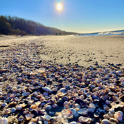 Muszelki i skarby Bałtyku na plaży w Pobierowie